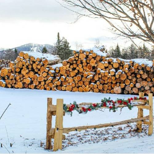 رامتین نه دیگه تو بر نمیگردی از عشق من دیگه تو سردی